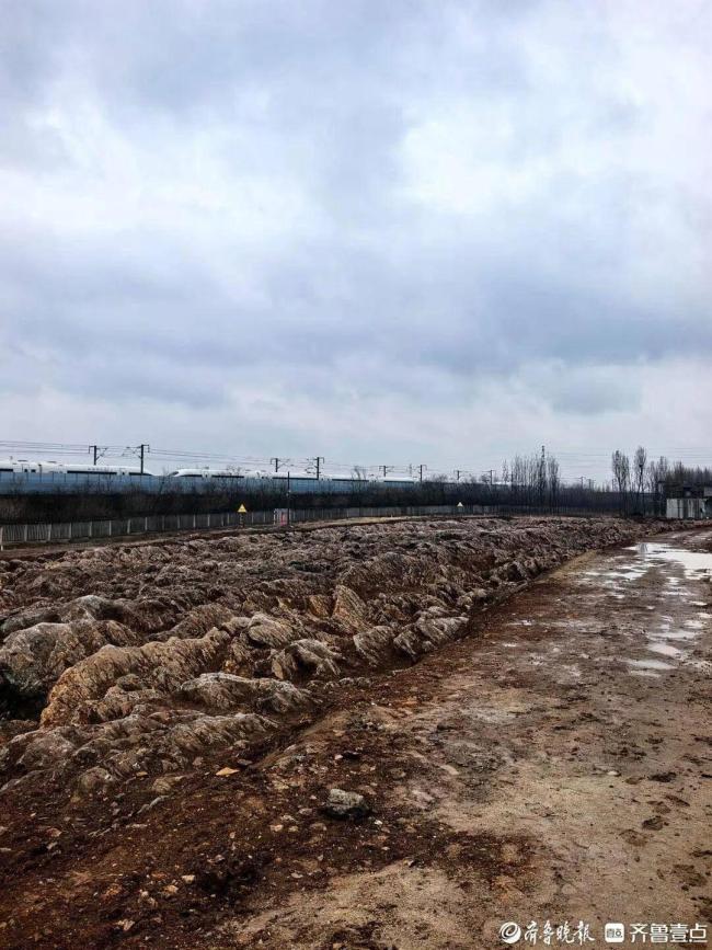 山东修高铁站挖出5亿年前石海 远古奇观引关注