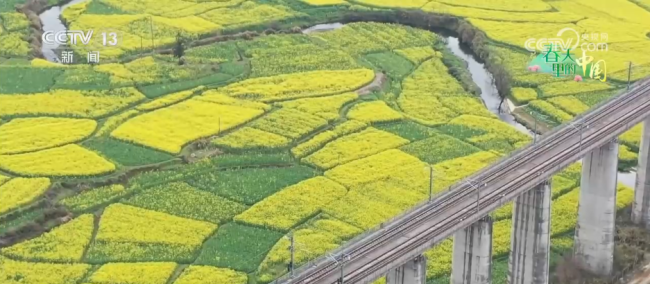 去踏青，春意正浓！“春日经济”蓬勃绽放