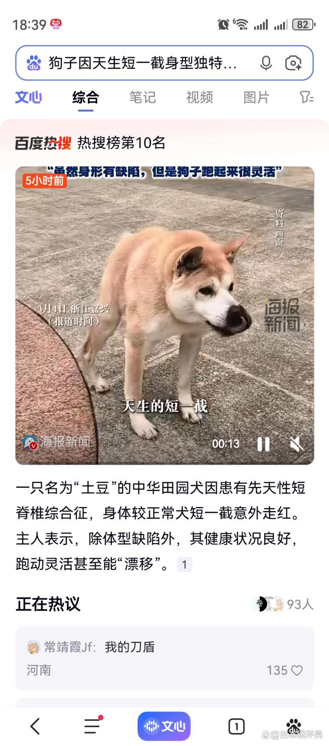 狗子因天生短一截独特走红