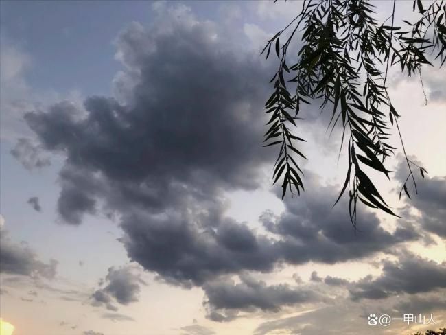 今天是惊蛰与天赦日罕见重合的吉日 阳气强旺万物生