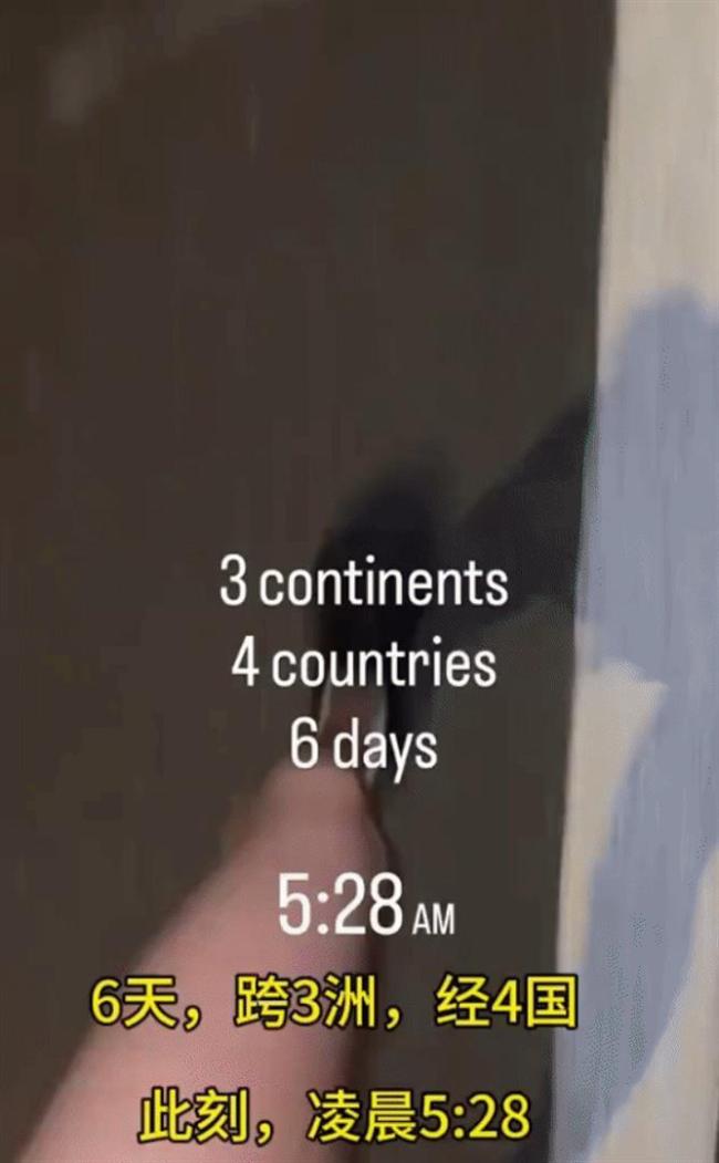 谷爱凌晒凌晨跑步视频，6天横跨3大洲4个国家，冬奥会后行程起飞 无缝切换多领域顶尖身份