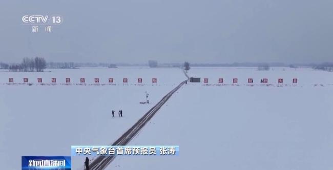 近期雨雪天气有利冬小麦苗情 北方降水助力返青
