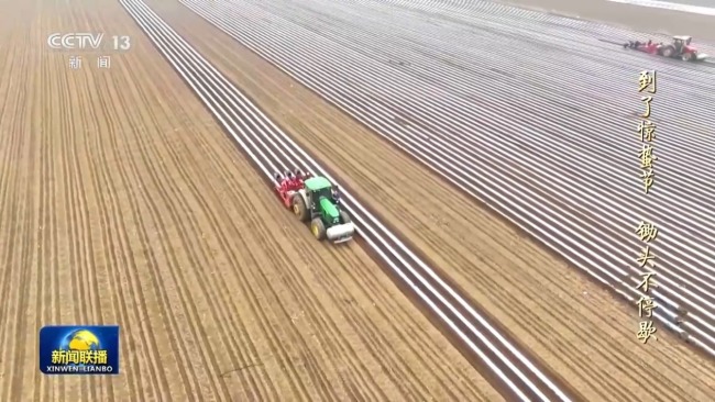 文化中國行丨二十四節氣·驚蟄