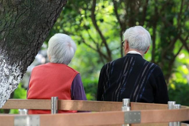 专家：应更快提升农民养老金水平 迈向“里程碑”式跨越