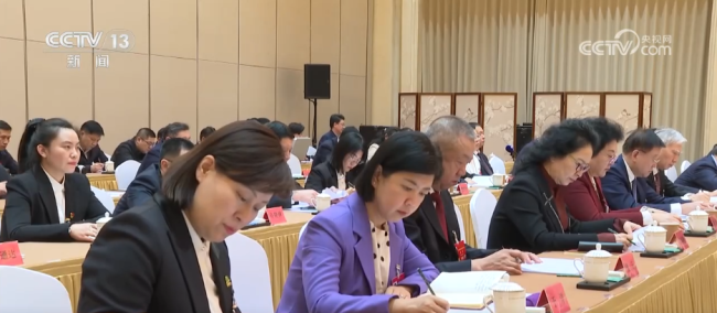 畅谈“十四五”亮眼成就 代表们有话说