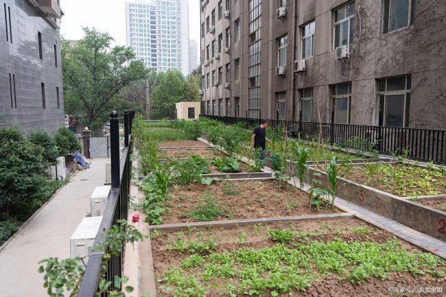 物业撤场后小区有人开始圈地建院子 管理真空引发乱象