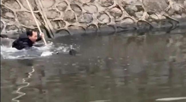 58岁男子发着高烧跳水救人