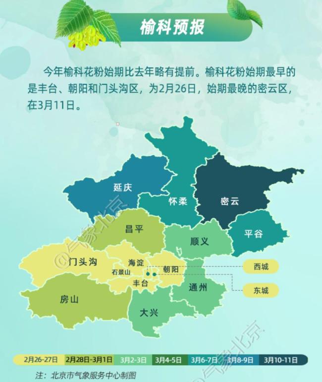 北京花粉高峰期本周末开始
