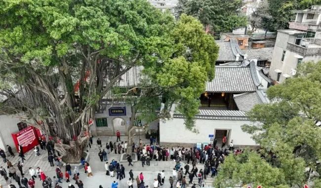 多部热播剧成两会热议话题 引领影视新风尚