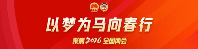 “十五五”规划纲要表决通过