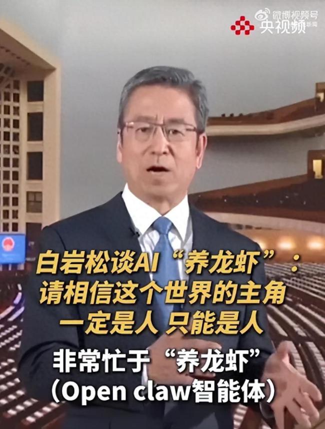 白岩松谈AI“养龙虾”：人始终是主角