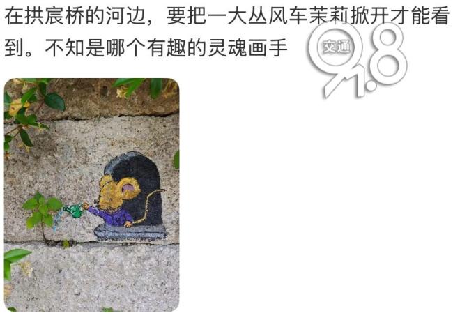 杭州一高架上现“神秘图案” 可爱涂鸦引热议