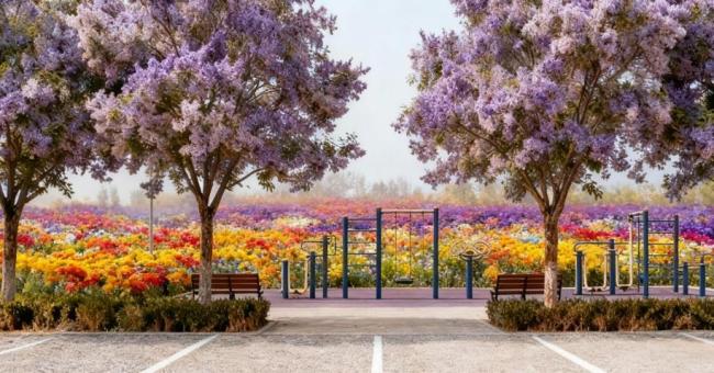 永乐店镇推进2000亩花海建设 激活生态经济双动能