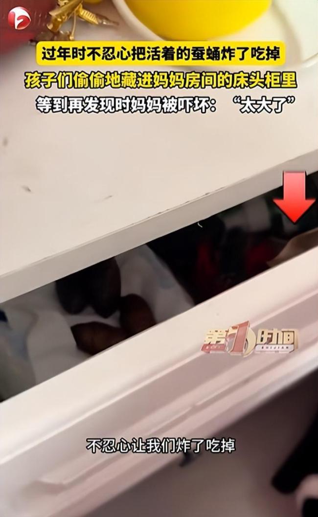 蚕蛹藏床头20天孵出4只巨蛾