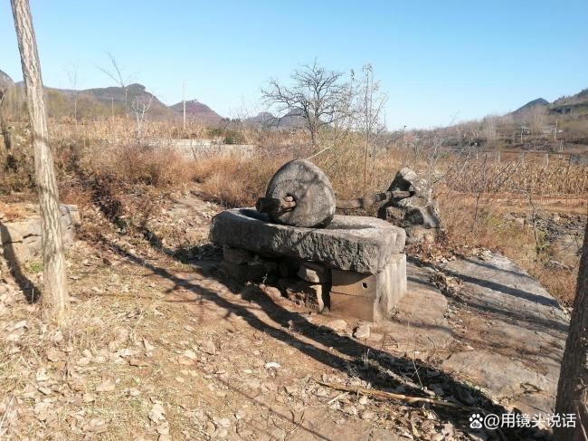 代表说农民交的公粮就等于交了社保 呼吁提升养老保障