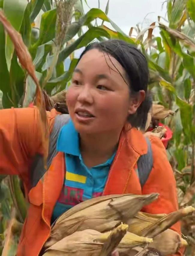 女子铁塔高空作业视频惹人疼 95后女生勇敢追梦