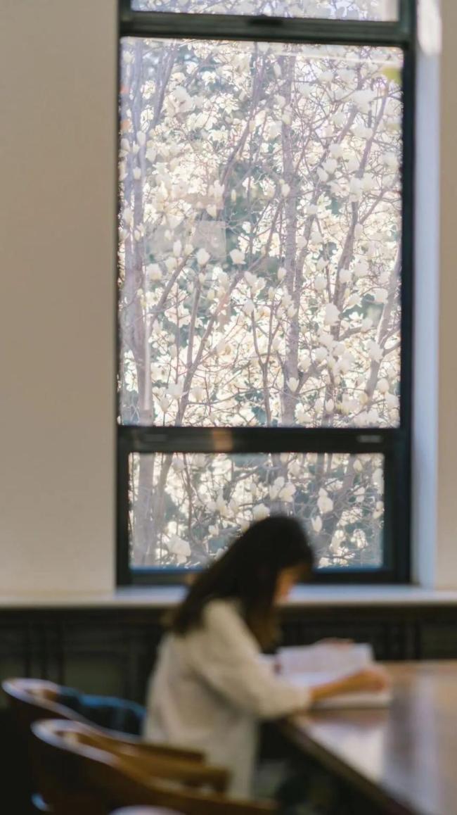 清华公布2026年研考复试线 专项计划及加分政策详解