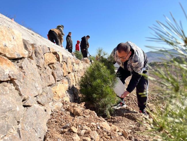 我国植树造林全球第一，为啥还要年年种树？ 从“绿起来”到“美起来”