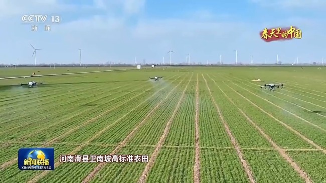 人勤春来早 农忙正当时 走进春天里的中国