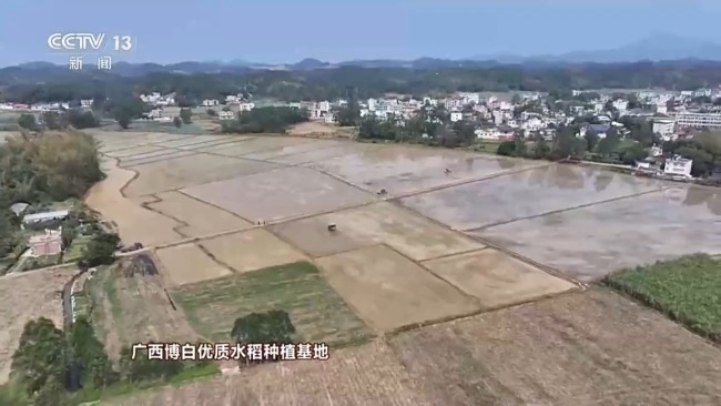 人勤春来早 农忙正当时 走进春天里的中国