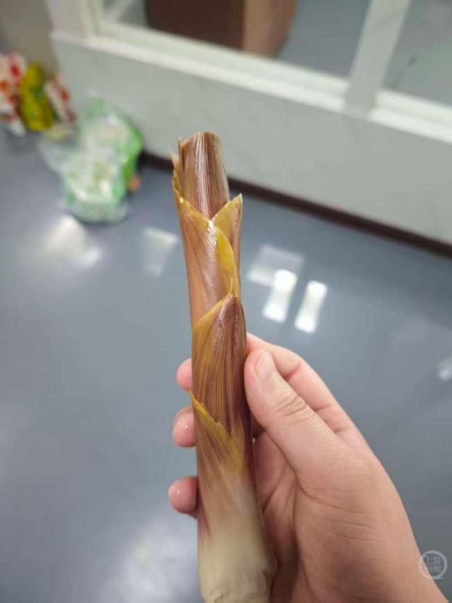 泡椒凤爪的泡椒竟是印上去的 食品包装“障眼法”误导消费者