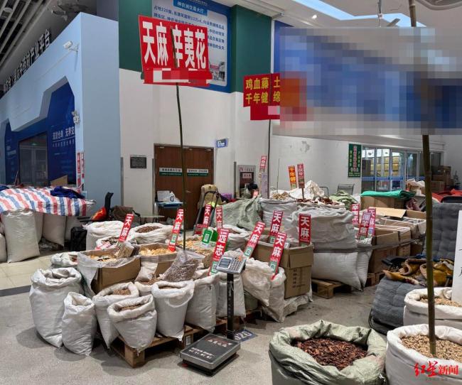 芭蕉芋变“天麻 单价暴涨数千倍 地下工厂制假揭秘