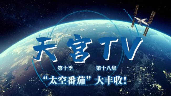 神二十一太空种菜成功