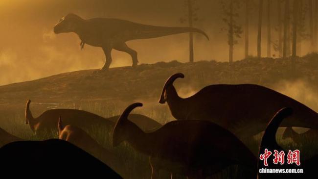 北美发现巨型暴龙化石