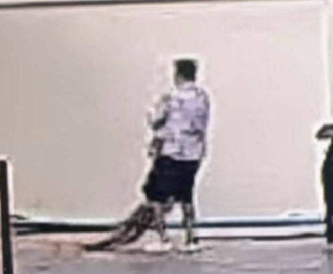 中国女子在泰国遇害最新进展