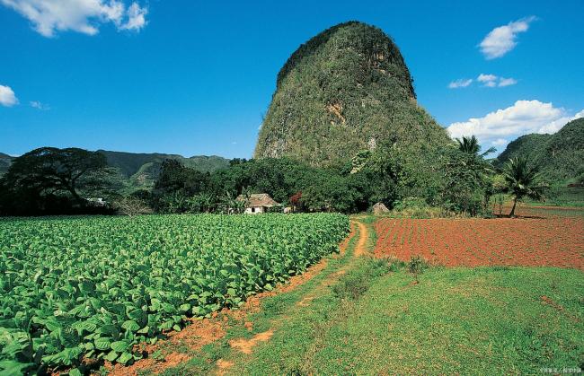 实验室曝光“毒食品”黑幕