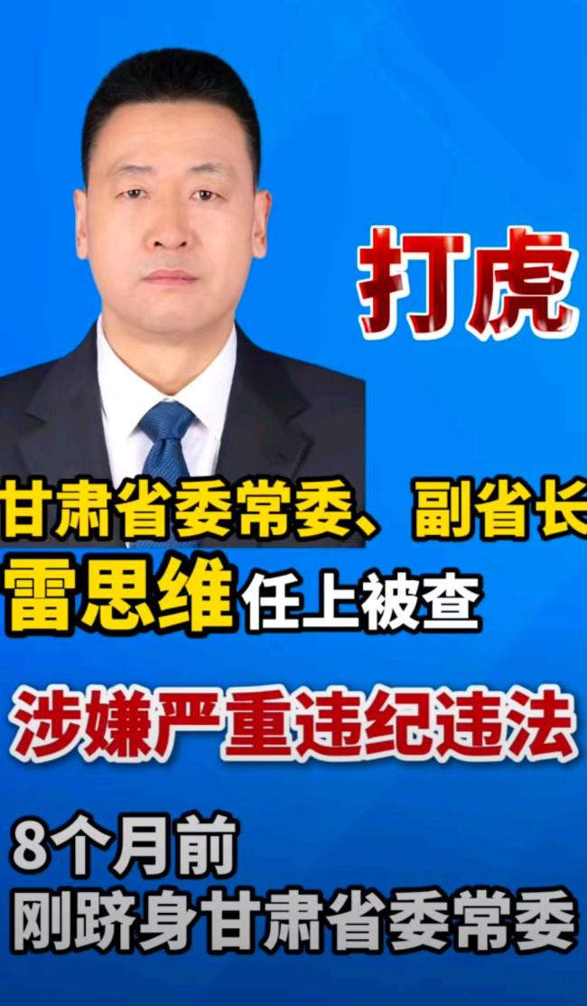 媒体：雷思维落马与分管国企领域相关