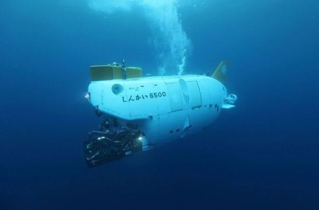 4500米深海带回528份标本，日本两处海域发现数十个新物种 深海生命新纪录