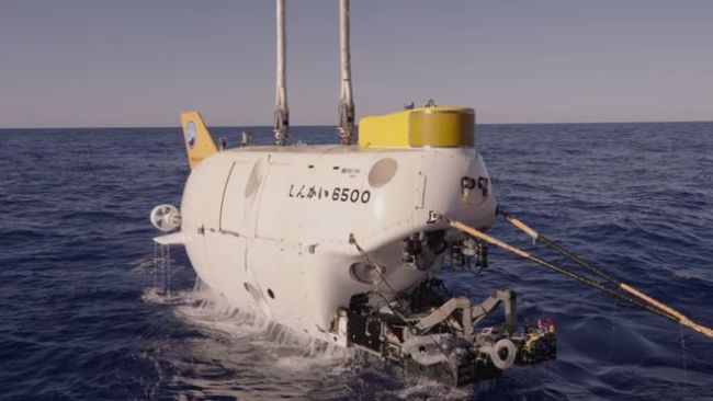 4500米深海带回528份标本，日本两处海域发现数十个新物种 深海生命新纪录