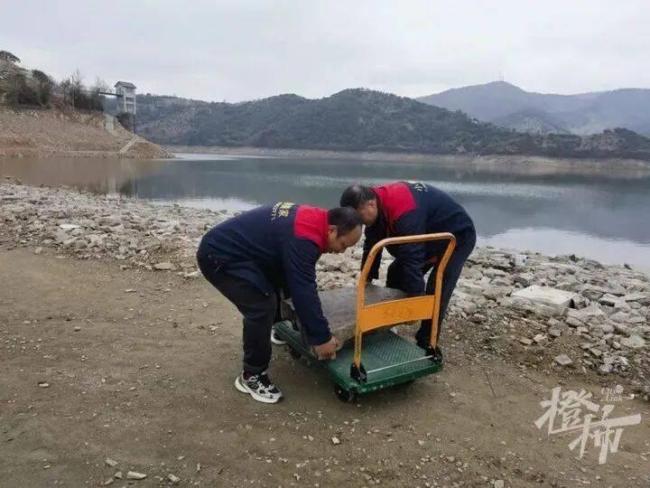 学生发现神秘古碑联系文保部门 少年获文物局表扬