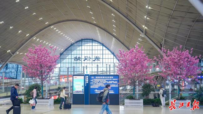旅客在武汉站里就能赏樱 樱花首次“检票”进站