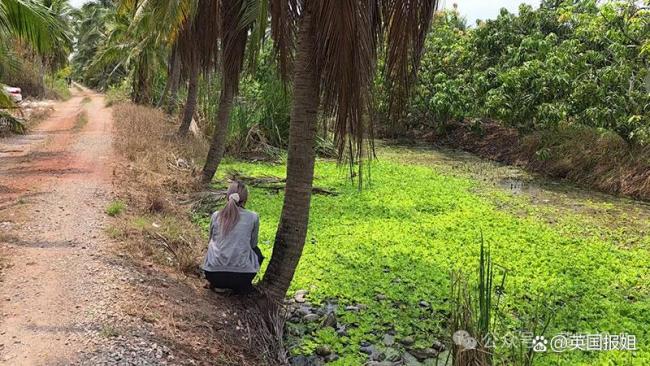 中国女子在泰国遇害细节披露 案件扑朔迷离
