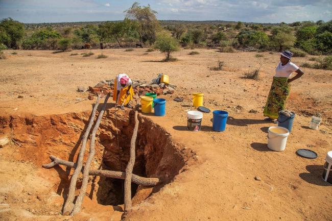 今秋强厄尔尼诺出现概率为三分之一