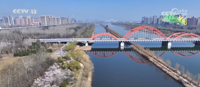 沉浸式“春日嘉年华”焕发文旅“美丽”动能