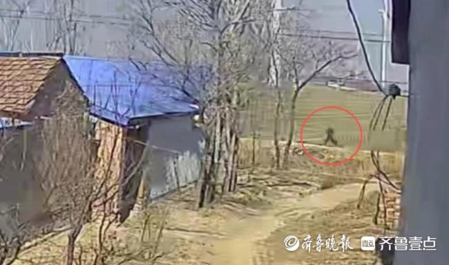 俩女孩不慎落水76岁老人跳水施救 平凡英雄温暖人心