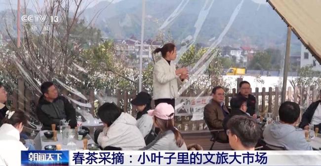 踏青赏花、采春茶、吃春菜 春日经济活力尽显