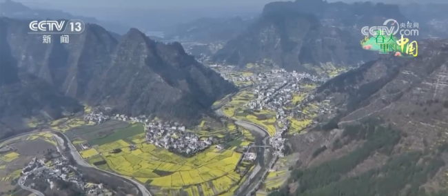 金色花海，把“春日流量”装进村民的“钱袋子”