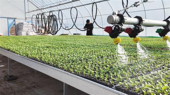 春耕农忙正当时