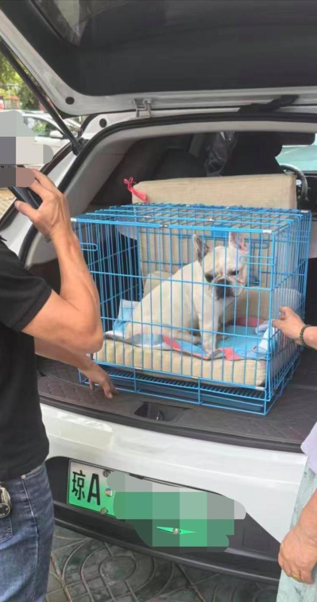 315最应该曝的是宠物乱象 虚假承诺与监管空白