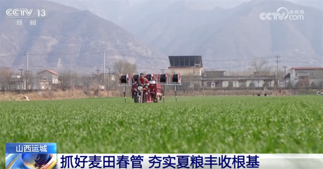 春耕春管向“新”向“智”夏粮丰收可期