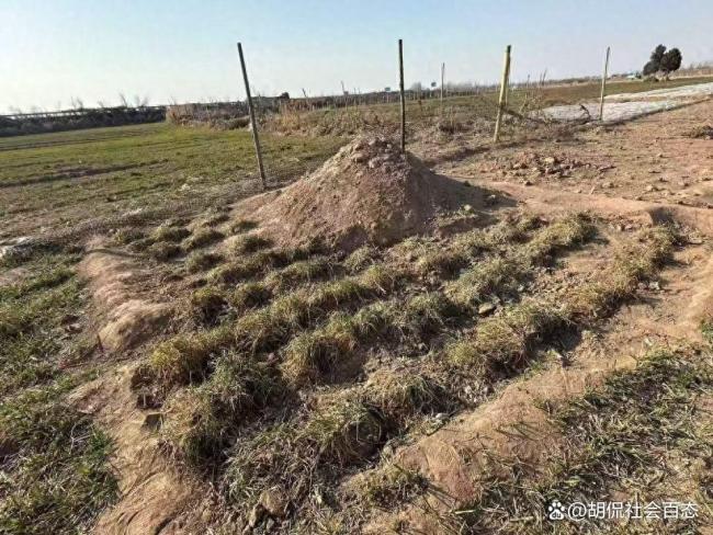 三姐妹父亲坟前被炸身亡案家属发声 直播维权再遭威胁