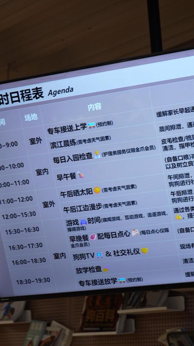 宠物主也卷“学区房”？上海的狗狗上起了幼稚园，宠物日托或成为社区新配套