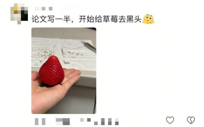 大学生写论文时能有多抽象 除了写论文什么都想做