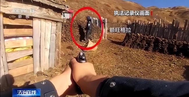 “我熟这片草原 让我上！”