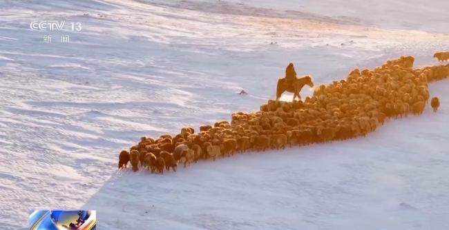 20万余头牛羊“搬家”进行中 春牧场转场启动