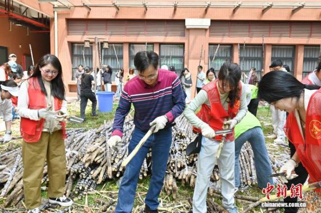 广东高校发甘蔗 学生排队削皮 助农惠农爱心行动